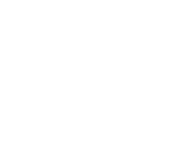 h6-bottom-shape1